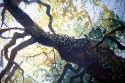 Arbol vivo