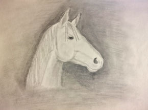 Caballo blanco