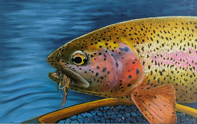 Rainbow Trout Painting Óleo Lienzo Animales