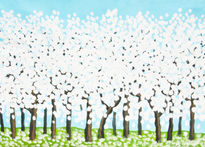 White spring trees 1