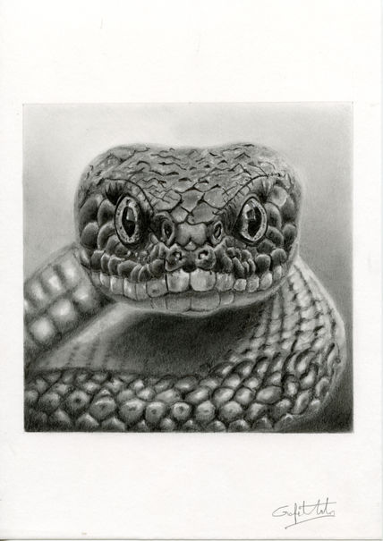Serpiente Negra