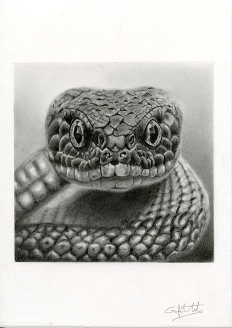 Serpiente Negra
