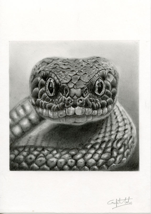 Serpiente Negra