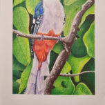 Animales thumbnail 1