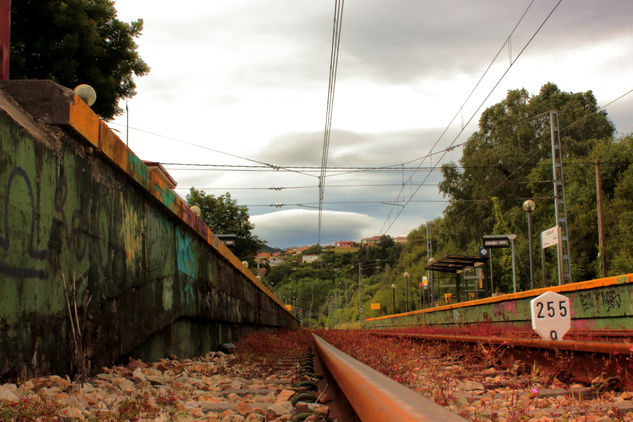 ESTACION CUDILLERO Nature Color (Digital)