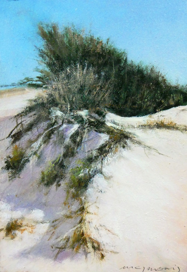 Dunas en Valdelagrana XII