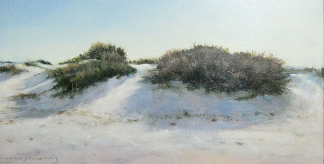 Dunas en Valdelagrana VIII