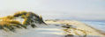Paisaje de Valdelagrana II