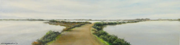 Camino en salinas Carboneros VI