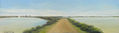 Camino en salinas Carboneros IV