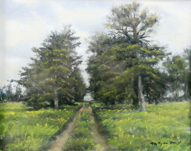 Paisaje en los campos de Malasnoches