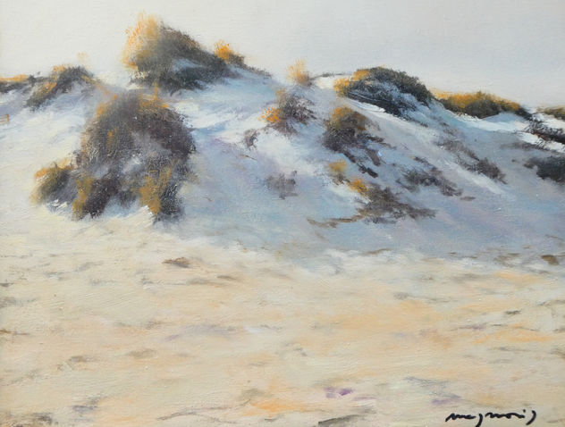 Dunas en Valdelagrana I