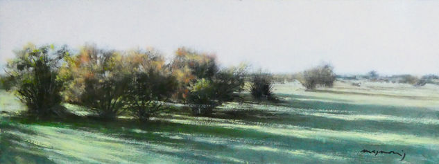 Tarajes II Oil Panel Landscaping