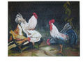 gallinero