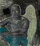 wings of light, veil of night