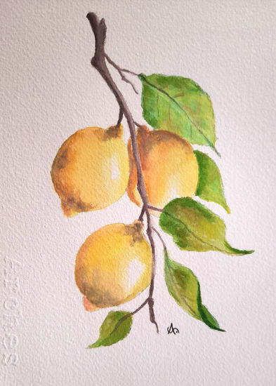 Limones Acuarela Papel Paisaje