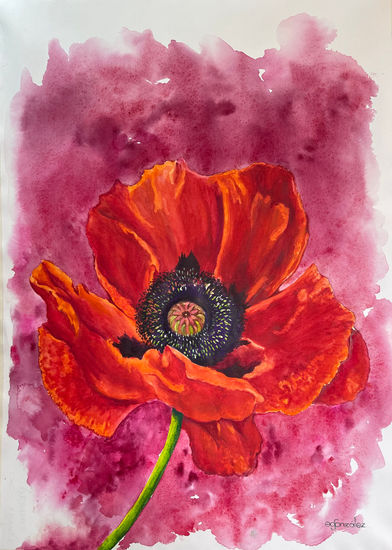 AMA-PAZ DESDE GIVERNY Watercolour Paper Floral Painting