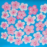 Flowers thumbnail 2