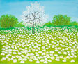 Spring meadow with white flowers