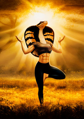 Cobra Yoga Humanoid