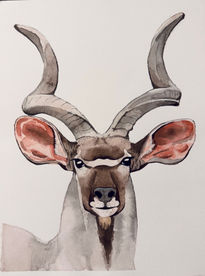 Kudu