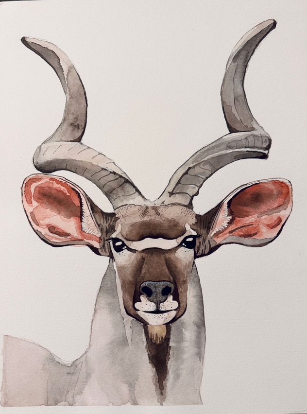 Kudu