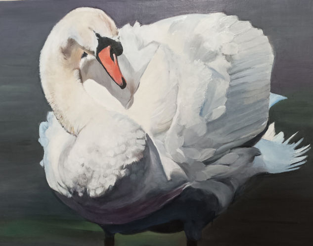 Cisne en lago Oil Canvas Animals