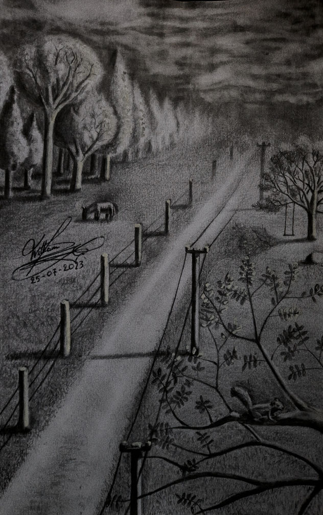 Calle en medio del campo