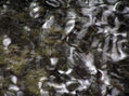 lago 2