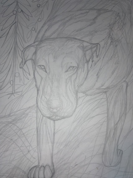 Perro.