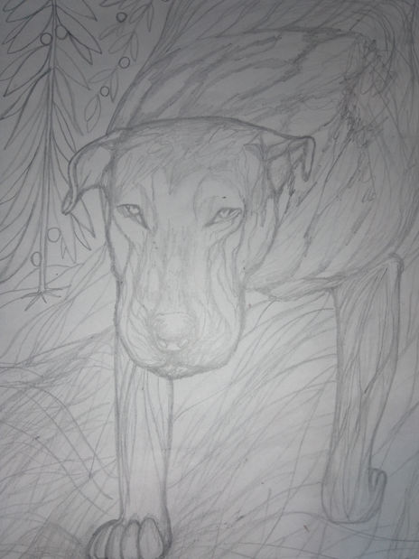 Perro.