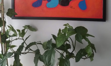 "La celestina"
