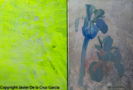 Flores