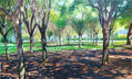 JARDIN DEL TURIA- EXPOSICIÓN
