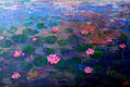 Pink water lilies...