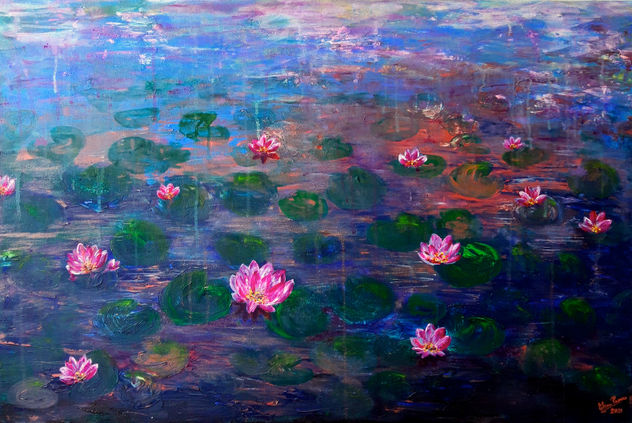 Pink water lilies in the twilight