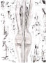desnudo 5