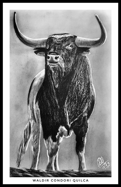 Toro
