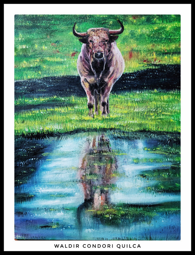 TORO BRAVO