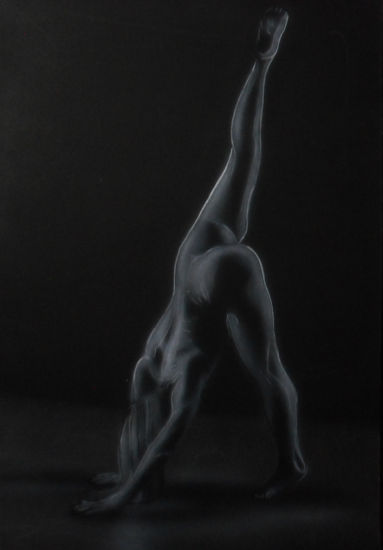 Acróbata Acrylic Panel Nude Paintings