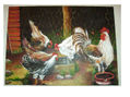 gallinero de la abuela