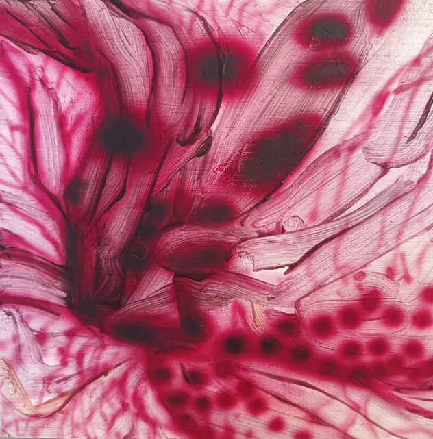 S/T