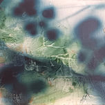 Flores thumbnail 1