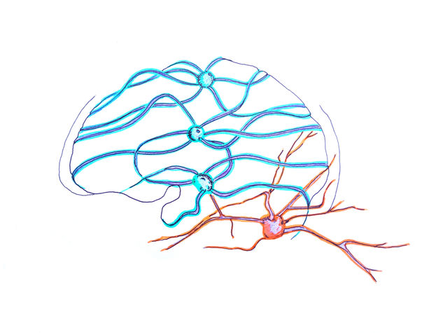 Neuronas Técnica Mixta