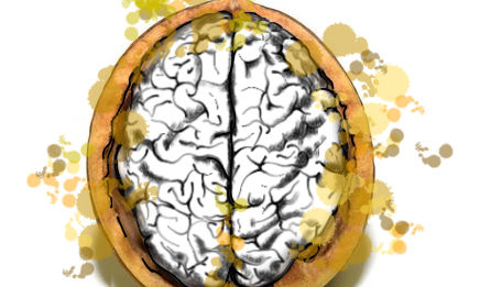 Cerebros
