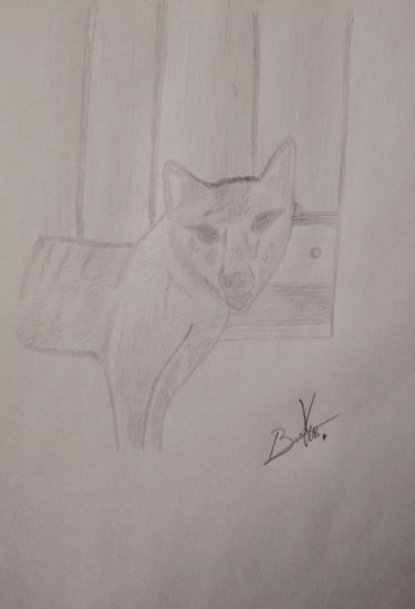 Tigre de Tasmania Pencil