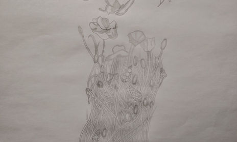Naturaleza