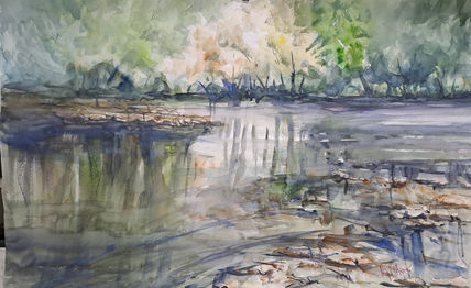 Naturaleza 59