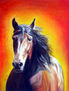 cabeza de caballo