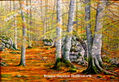 Bosque Hayedos 38x55 cm nº 5